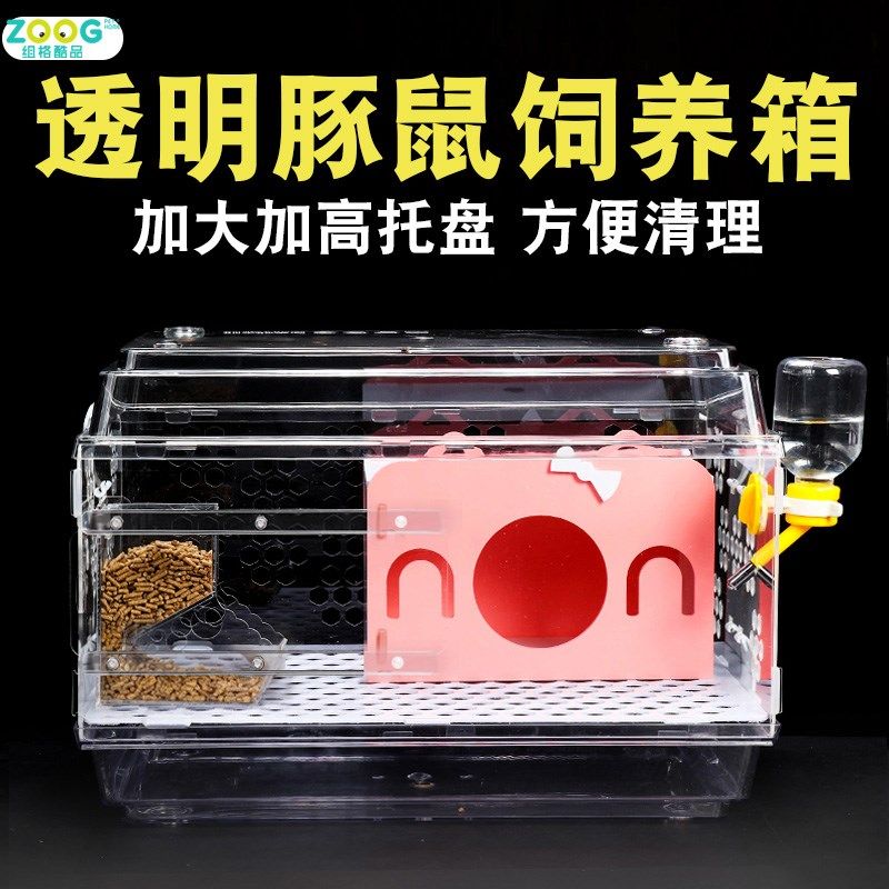 豚用笼子饲养箱透明天鼠鼠荷兰竺迷你宠物鼠品荷兰猪箱子套餐