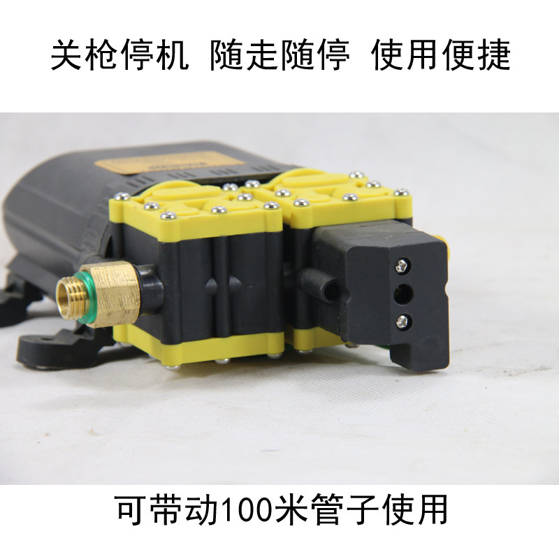 智能停机12V双核动力水泵农用电动喷雾器双泵高压 100米打药洗车