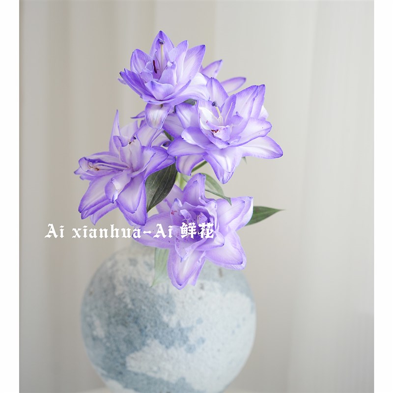紫霞仙子重瓣香水百合鲜花花束水养花送超长节庭期花家日插花空运
