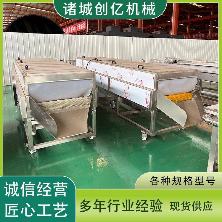定制全自动油桃毛桃平行毛辊清洗机沃柑毛辊洗果机杏子毛刷清洗机