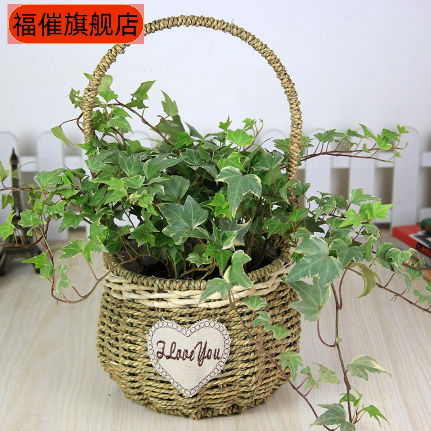 花篮草编藤编插花挂壁花盆绿植
