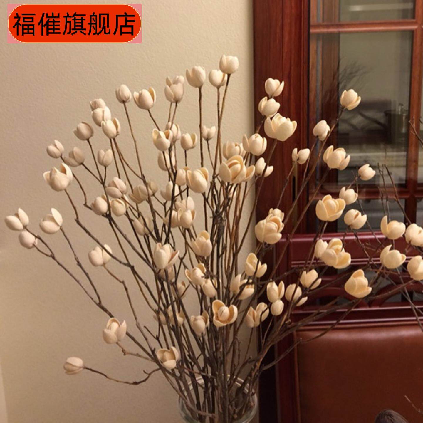 原色开心果壳漂白手工材料坚果壳