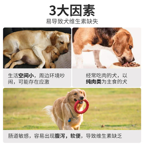 复合维生素b防掉毛狗狗营养补充剂犬多维宠物用复合维生素片