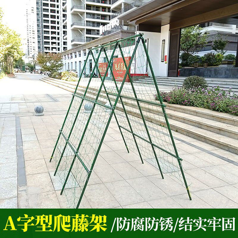 爬藤架黄瓜豆角支架杆西红柿丝瓜果蔬阳台种菜架庭院花架A型架子