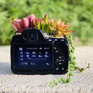 肉肉花盆2021新款黑色复古创意老物件造型独特异形多肉小盆栽宿舍