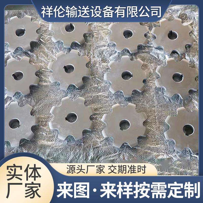 不锈钢齿轮安装简单工业机械传动轮输送机大节距双排齿轮齿条链轮