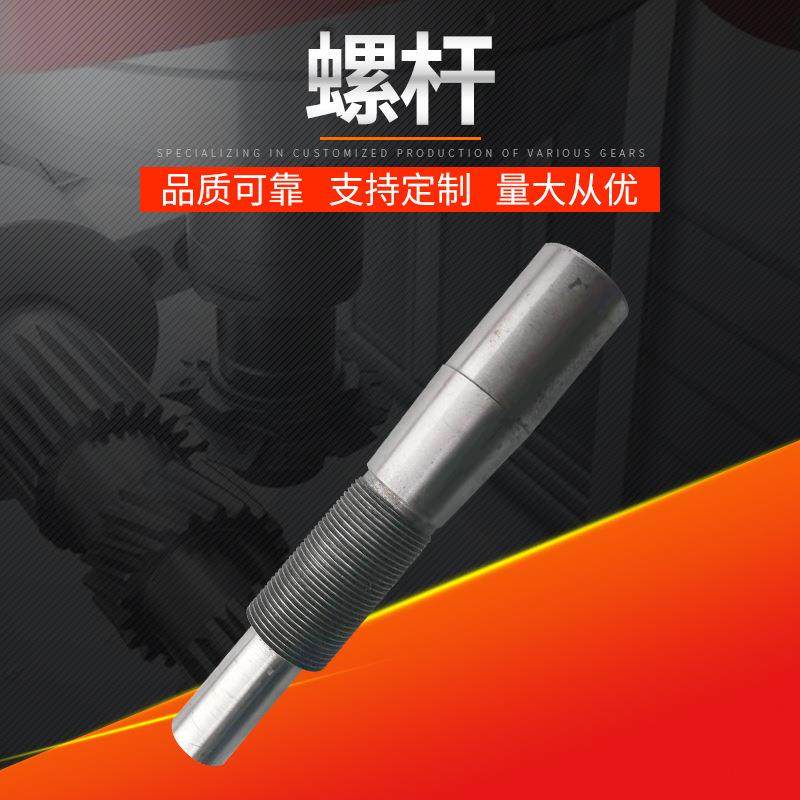 厂家定制螺杆螺杆模具直齿轮螺栓配件非标异型螺杆机械紧固件,模玩/动漫/周边/娃圈三坑/桌游,模型制作工具/辅料耗材,淘宝优惠券,粉丝福利购,淘宝优惠卷