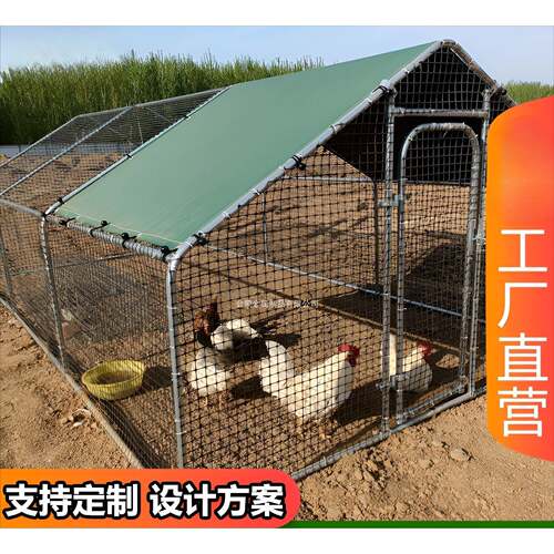 鸡笼室外家用家禽遮雨棚户外大型养鸡棚搭建孔雀鸽鸭养殖笼鸡舍棚