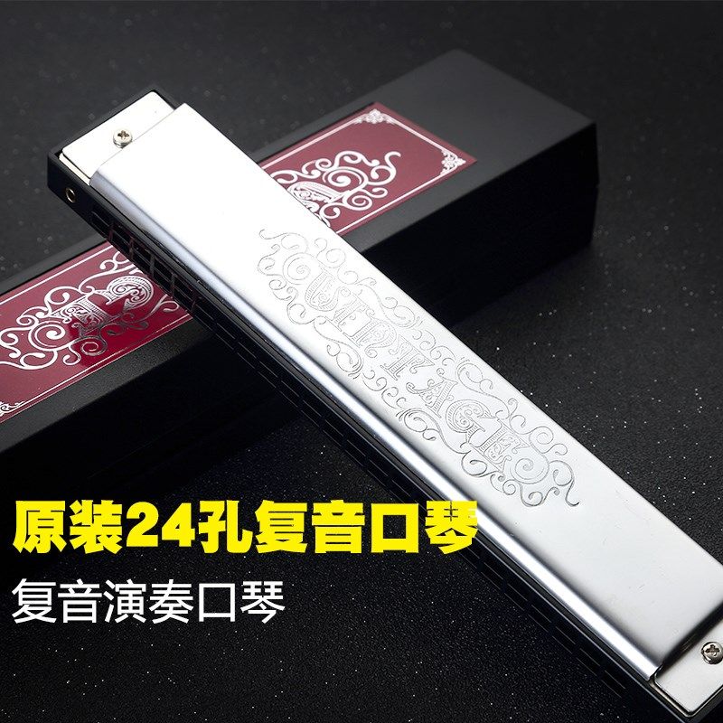 孔声24孔复音口琴成人演奏练习琴初学者学生教学学习送入门礼包