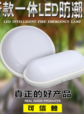 LED防水防雾阳台浴室卫生间电梯井道室外防雨吸顶高亮一体长条灯