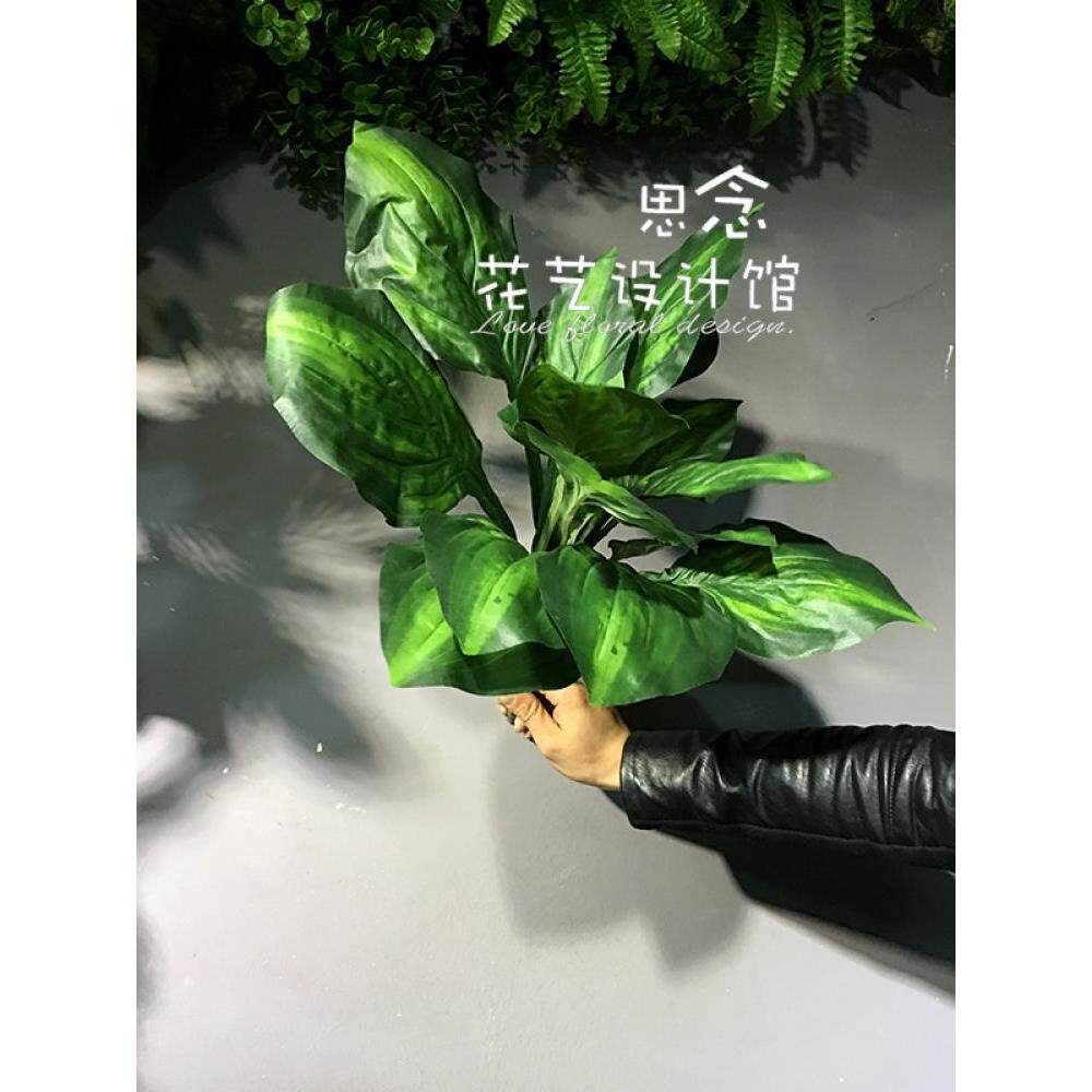 仿真玉簪叶子,仿真大叶子绿植单只/束感,植物墙牛货好品不绢花