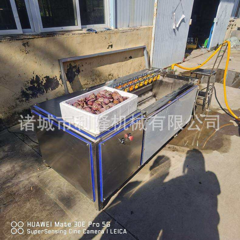 多功能毛刷清洗机 扇贝牡蛎清洗泥沙机 野蒜大蒜清洗机