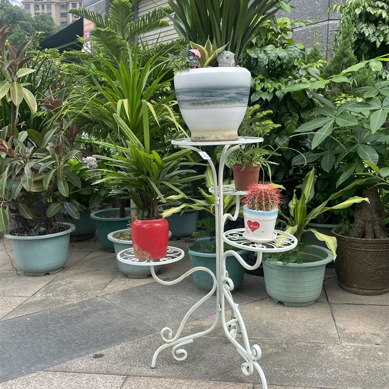 多层花架阳台客厅花盆架酒店民宿大厅花盒架多肉绿萝花店展示架子