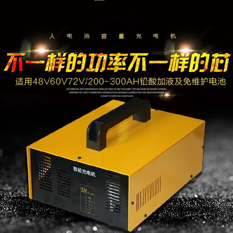 48V60V72V四轮电动老爷车看房车观光车干电瓶水电池充电器充电机