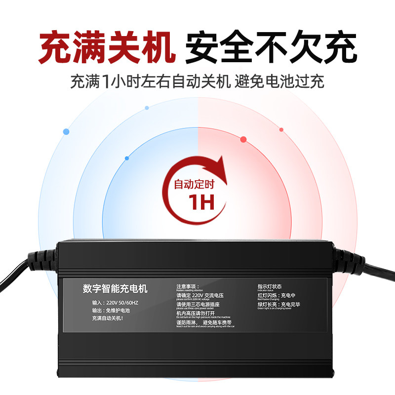 60v15a天能免维护电池充电器72v100ah大功率电动四轮车汽车充电器