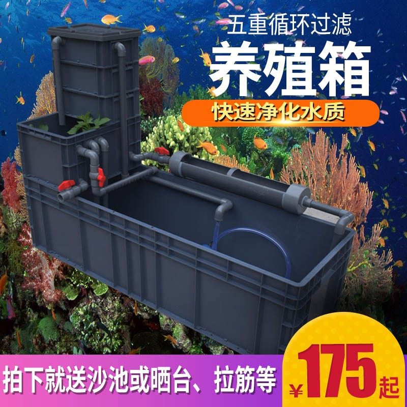过滤乌龟缸塑料周转箱DIY 生态水陆巴西鳄龟水培管道沼泽养殖鱼缸图片