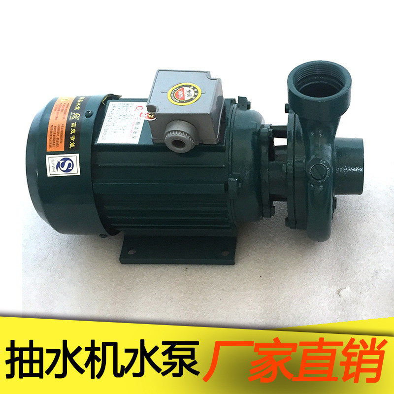 清水泵380V三相抽水泵 电动家用微型离心泵家用灌溉泵搅拌机泵