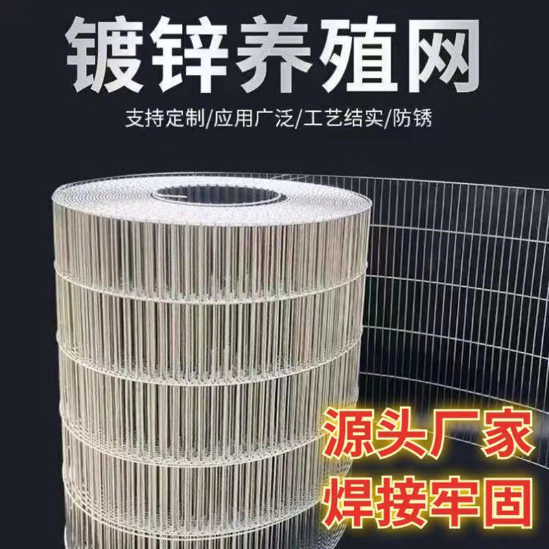 镀锌铁丝网 养殖网铁丝鸟笼护栏阳台防护鸡笼兔笼鹌鹑笼加粗整卷