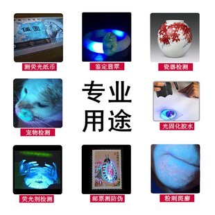 首尔10W紫外线手电筒验钞灯鉴定瓷器琥珀萤光剂检测笔365nm紫光灯