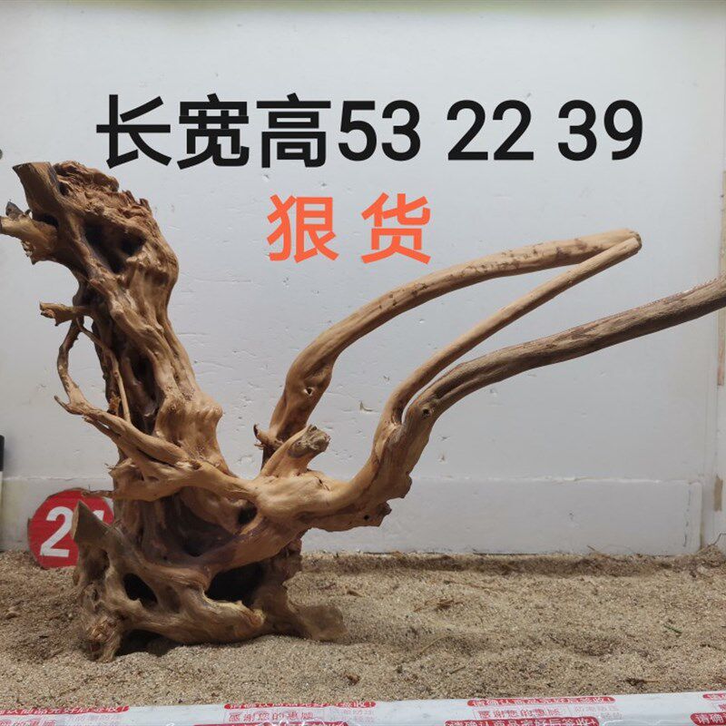 杜鹃根造景沉木一木成景草缸造景水陆缸雨林缸南美缸爬缸莫斯树