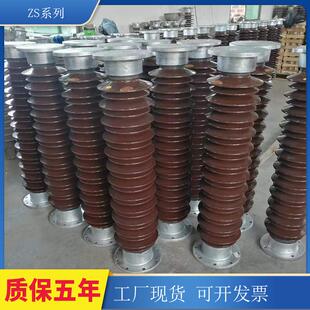 厂家ZSW支柱绝缘子陶瓷支柱绝缘子ZSW-35/8-4户外高压绝缘子