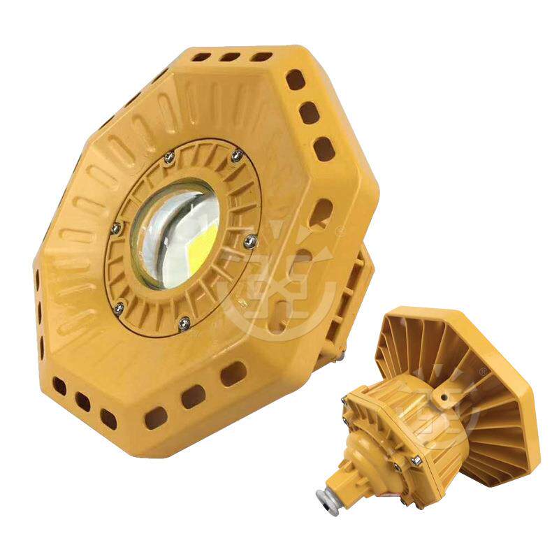 免维护防爆灯平台照明灯30W40W50W80W吸顶式LED泛光灯