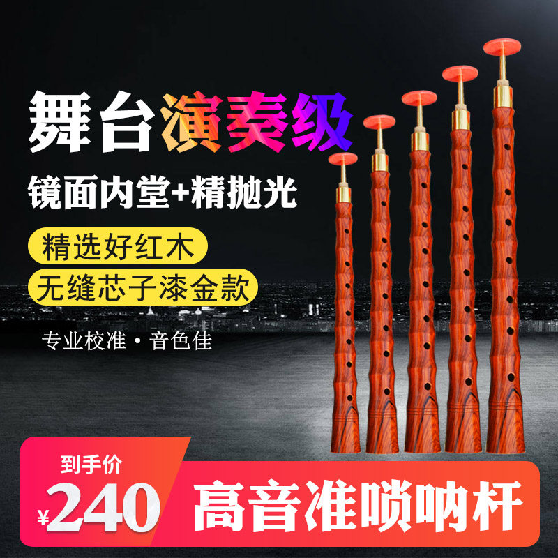 老红木唢呐杆子墨西质红木B哥演奏级音准DC材G舞台民间红白事独奏