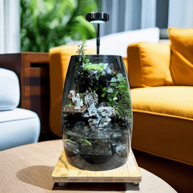 养苔缸生态微景景鱼藓办公室桌面微观观绿植盆景生态瓶缸绿植造景