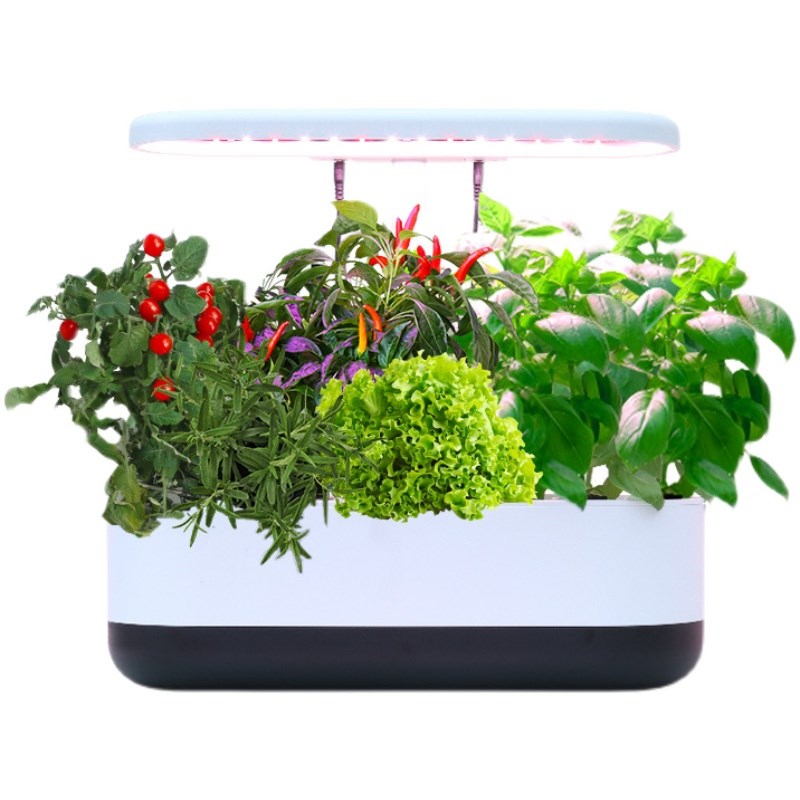 家脂智能蔬菜种植机室内无土栽箱成套设备水培草莓种植培树庭花盆