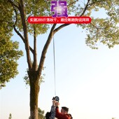 狗狗牵引绳大型犬金毛自动伸缩遛狗8米中小型犬狗链子大狗牵狗绳