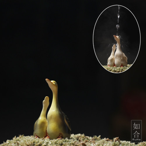 如合 变色天鹅紫砂茶宠茶玩陶小巧创意个性淋水鸭子手工结婚礼品