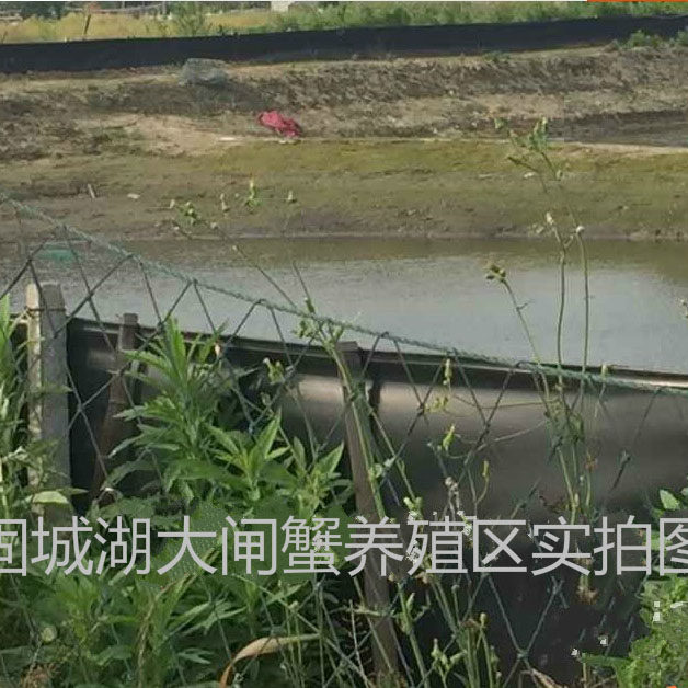 防逃膜黑色防逃黑膜水产养殖膜蟹塘围板龙虾螃蟹养殖黑膜加厚板子