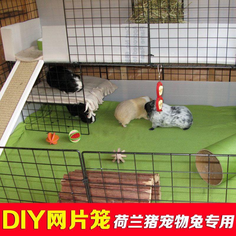 荷兰猪笼子豚鼠DIY网片双层别墅天竺鼠兔用防喷尿宠物专子笼大号