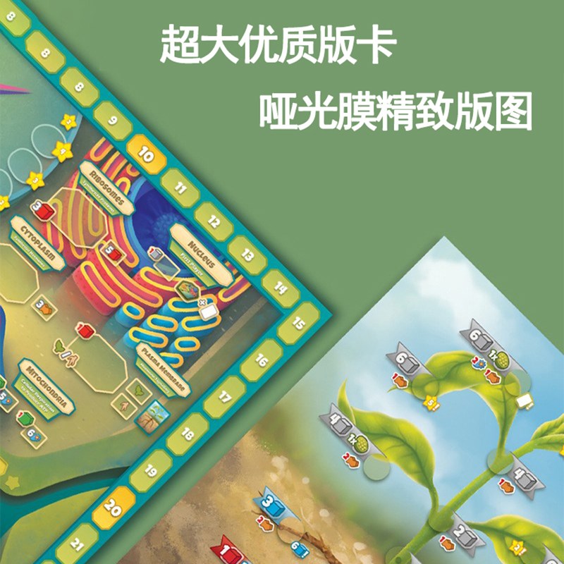 轨刻场细胞农馆工厂化学元素一迹周期表实物基因花园桌游儿童10岁