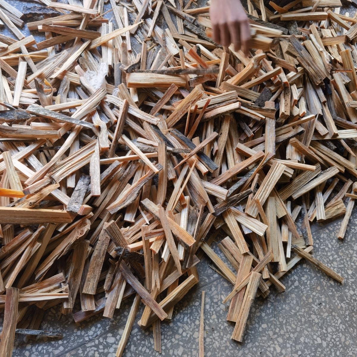 松明子引火条烧烤炭生火木柴引火点燃松木松光户外野营快速点火用