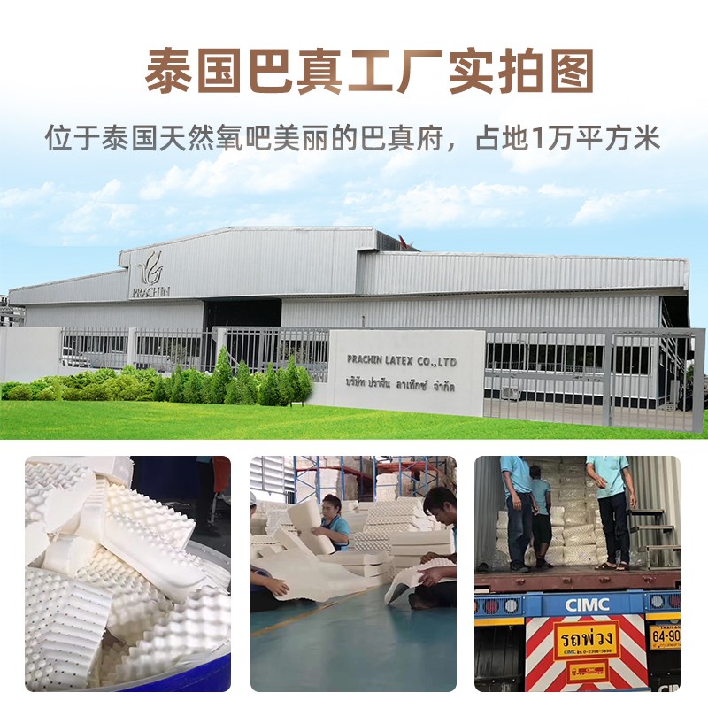 泰国原产进口椎然乳胶大颗粒枕头护颈螨枕橡胶防天助睡眠按摩