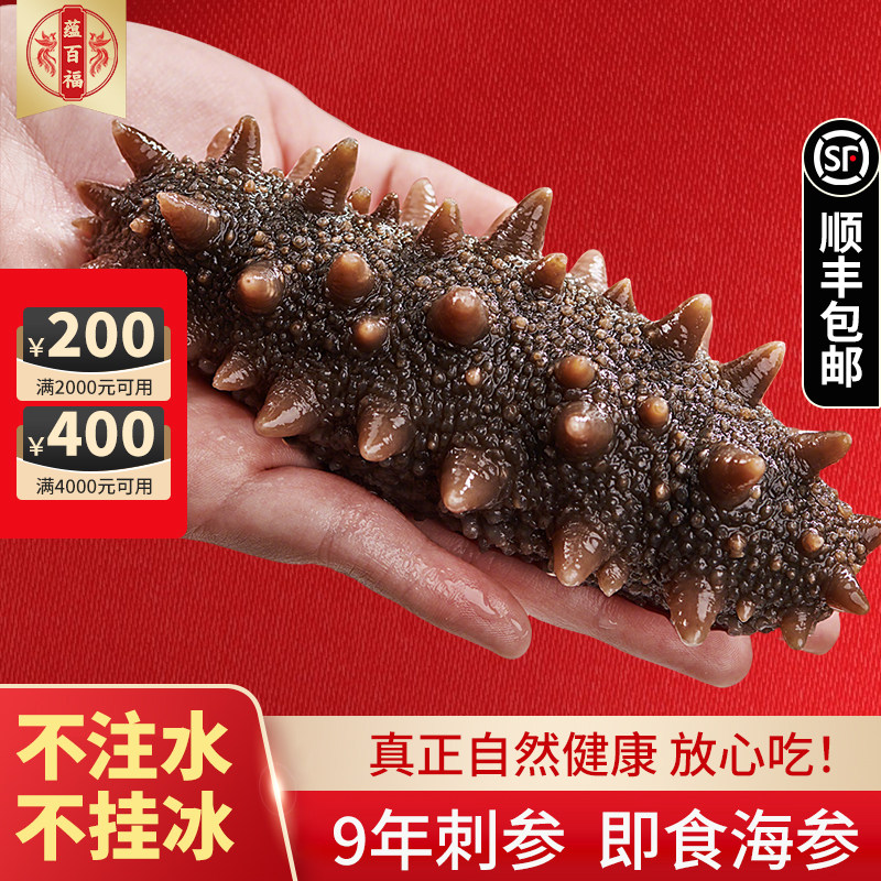蕴百福9年刺参即食无注水高营养无添加营养品纯天然即食海参