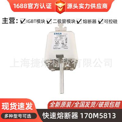 170M5813170M5959快速熔断器保险丝电子元器件量大价优