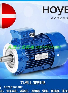 霍尔HOYER电机MS5624 7124 8024 90L4 100L4 112M4 132M4马达 4极