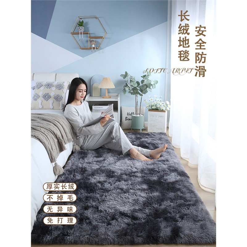 长毛绒客厅地毯NS风卧室房间毛毯冬天沙发茶几毯床边加厚保暖地垫