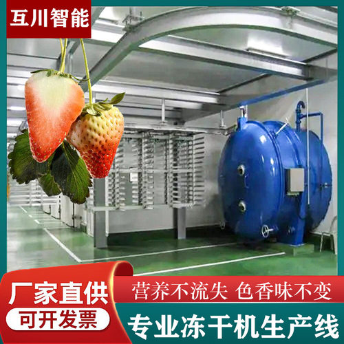 中小型冻干设备 商用海带牡蛎真空冻干机 拉丝蛋白真空冷冻干燥机