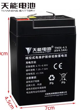 天能6V4AH3FM4耀华电子秤地磅秤蓄电池龙威凯鹰儿童电动童车电瓶