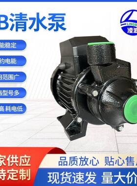 1DB-45牌旋涡式家用、工业配套清水泵550W小流量45米高扬程