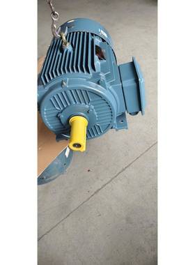 厂家直销三相导步电动机全铜马达型号280SYE355W一4P