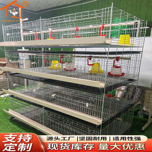 育雏笼小鸡养殖笼多层立式育雏设备冷镀热镀锌材质厂家层4层