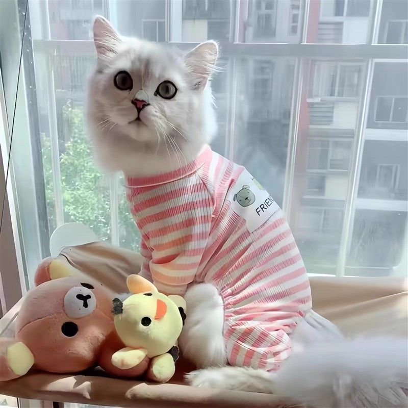 猫咪衣服居家四脚衣秋冬款防掉毛幼猫布偶蓝猫银渐层狗狗宠物睡衣