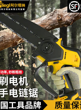 德国进口博士电锯家用小型手持充电式便携伐木锯锂电大容量电动锯