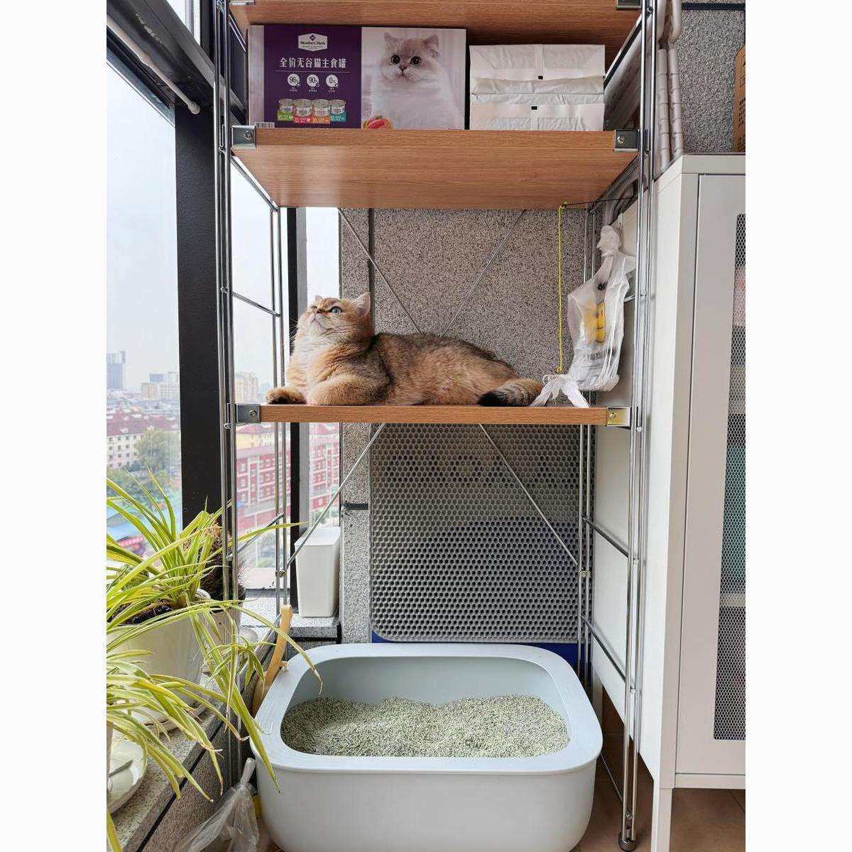 阳台猫砂盆上方置物架落地多层宠物用品收纳架猫爬架