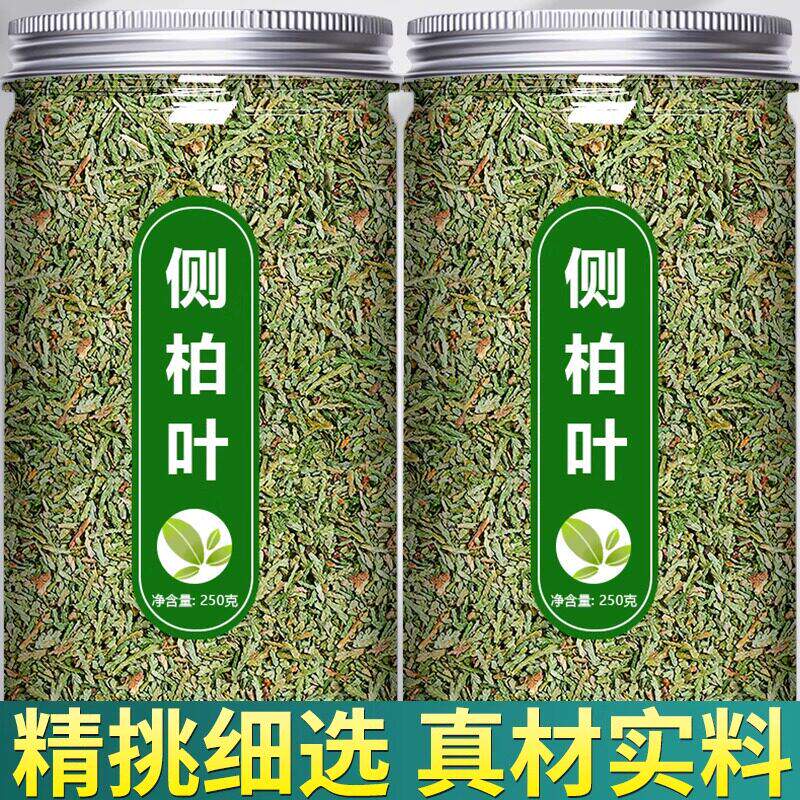 中药材正品野生侧柏叶侧伯叶扁柏叶新鲜干货500g干姜何首乌