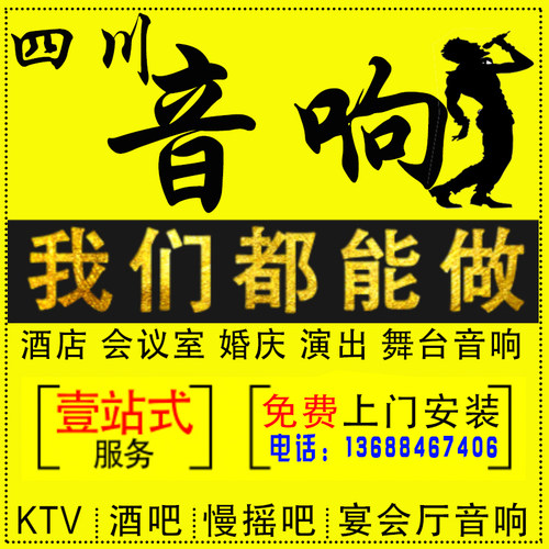 12寸酒业会议室套家乐家庭别墅餐吧用小专馆KTV音响套装设备农装